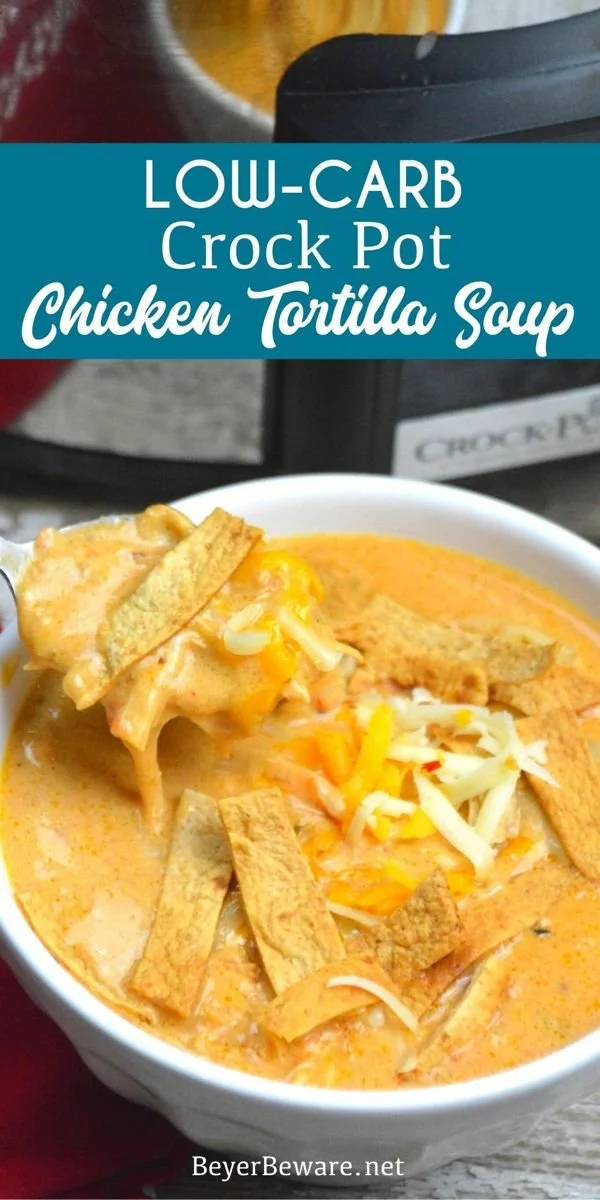 Bowl of low-carb chicken tortilla soup made in a crock pot