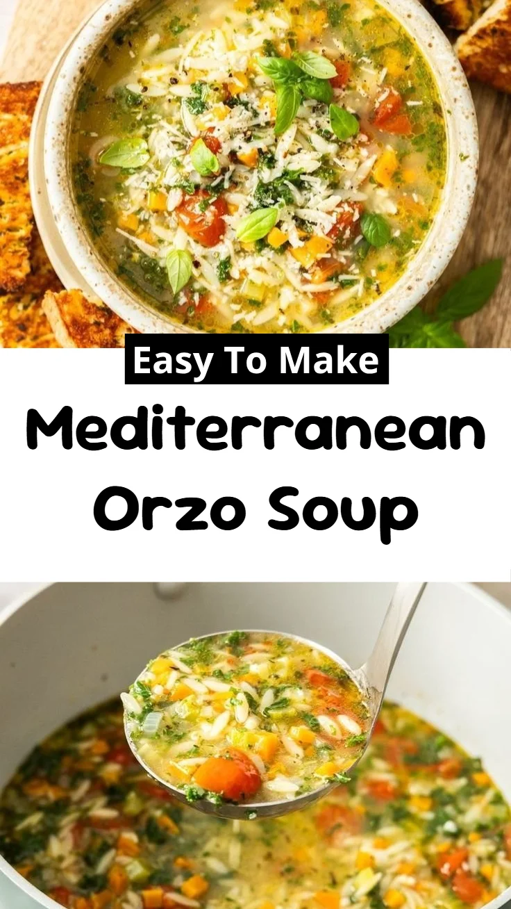 Mediterranean Orzo Soup