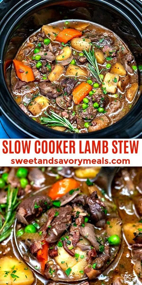 Delicious slow cooker lamb stew with vegetables and herbs