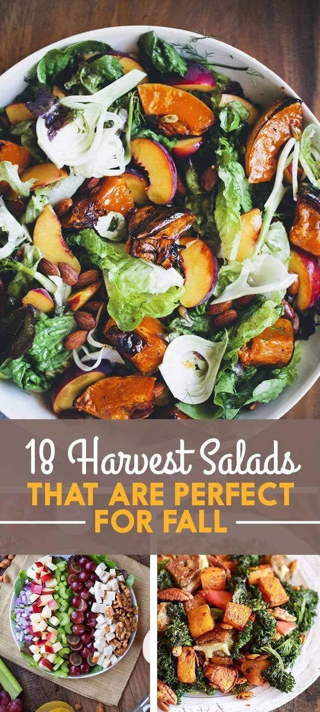 Colorful fall salads featuring seasonal ingredients for dinner parties.