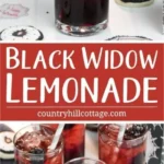 black widow lemonade a spooky halloween drink 2026 08 06 192625 440x1024 1