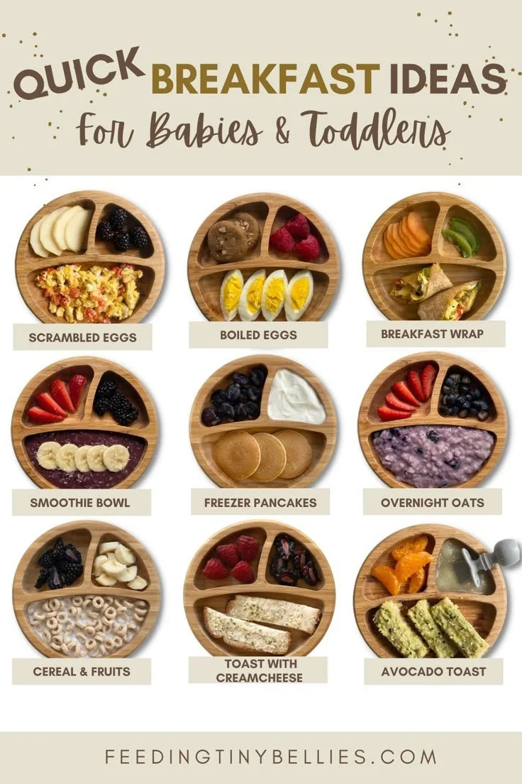 Freezer-friendly breakfast ideas for toddlers and babies from Feeding Tiny Bellies