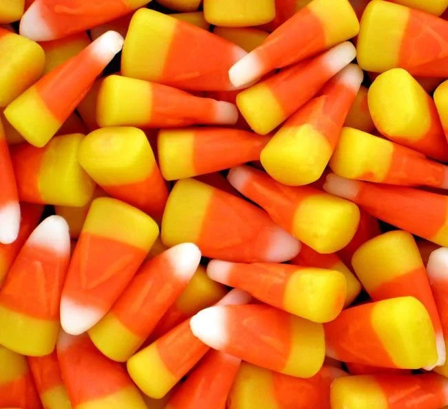 30 lbs bulk candy corn for Halloween party and festive celebrations