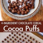 homemade chocolate cereal gluten free dairy fre 2026 08 07 214623 512x1024 1