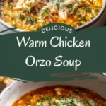 this warm chicken orzo soup feels like a hug 2026 08 07 214649 488x1024 1